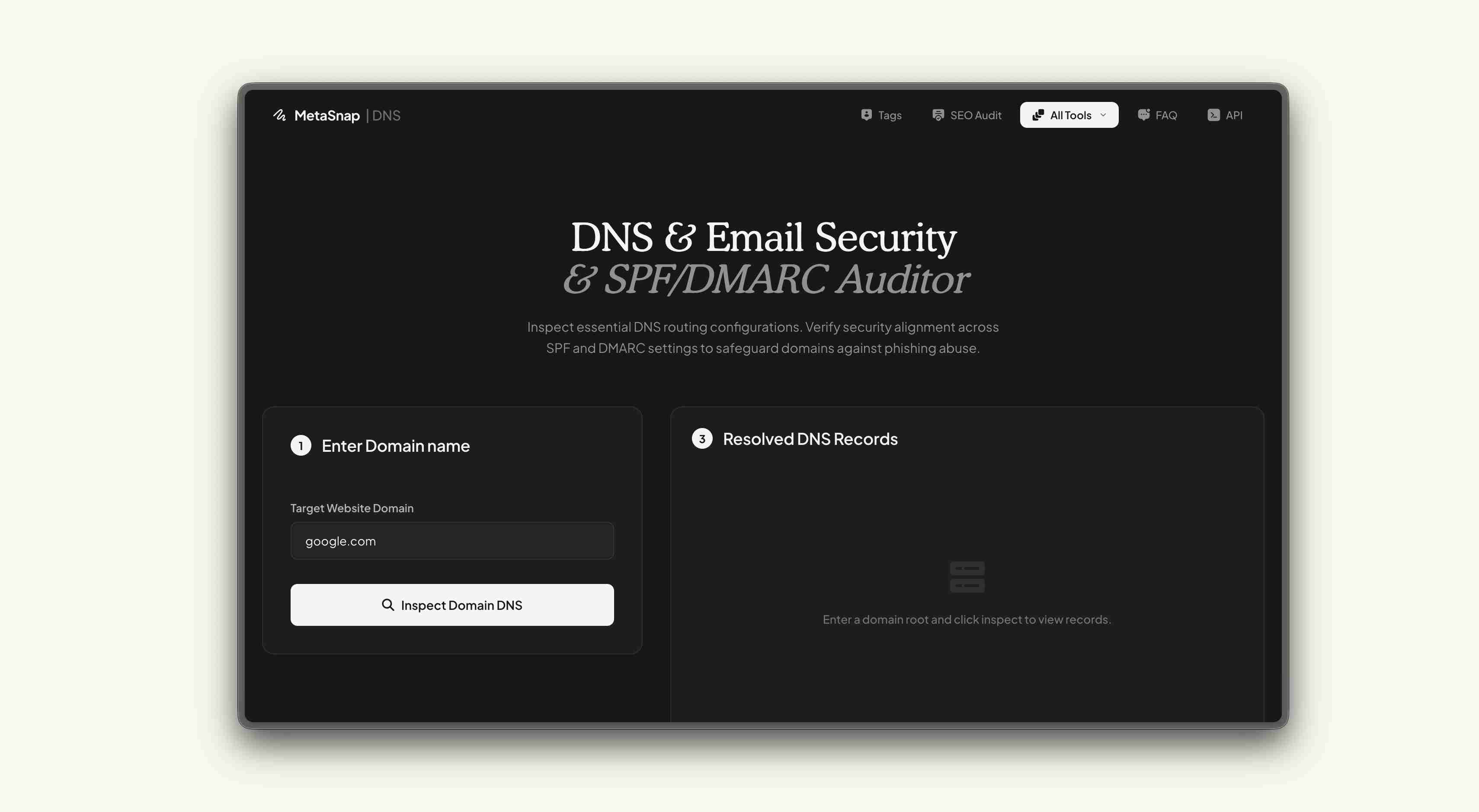 DNS & Email Security Inspector